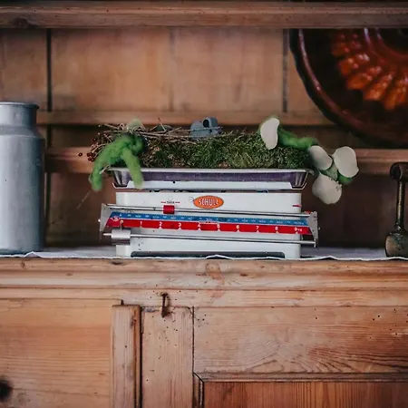 Holiday home Waldjuwel Mostviertel Allhartsberg