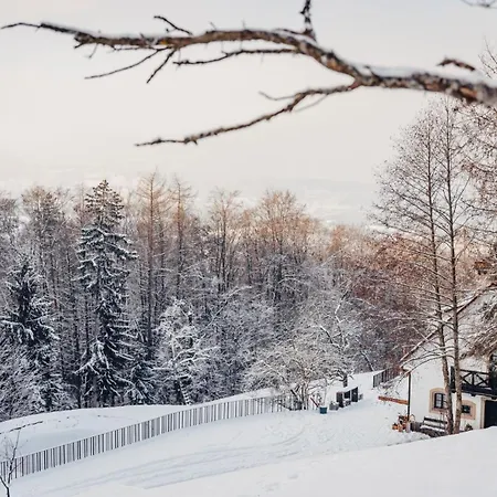 Ferienhaus Waldjuwel Mostviertel Allhartsberg
