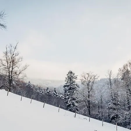 Waldjuwel Mostviertel Holiday home Allhartsberg