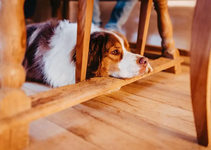 Waldjuwel Mostviertel * Allhartsberg