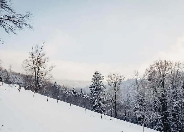 Waldjuwel Mostviertel Holiday home Allhartsberg